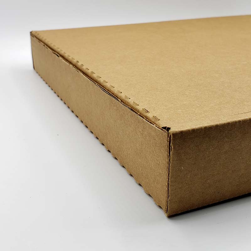 Envase Caja Pizza Blanca Mediana 25 x 25 cm. - Pack 50 und CPIZZA25R71*