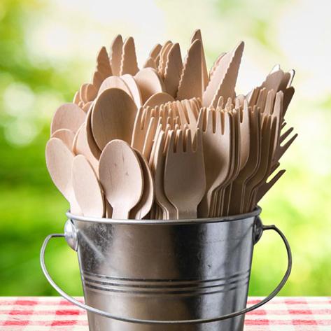 Cubiertos Cuchara Pequeña de Madera - Pack 100 und CUCHATEMA06P*